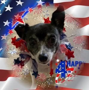 Meet your Posher, Jane